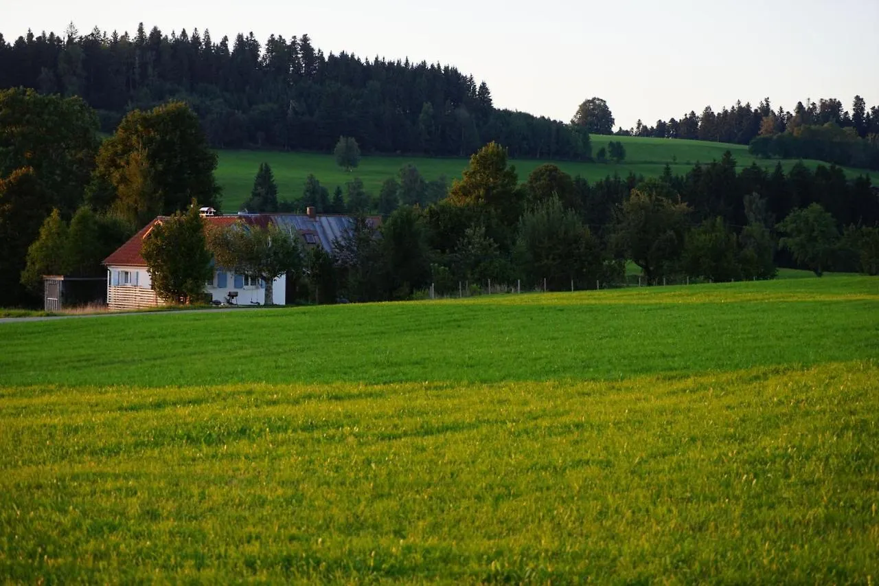 Knuschbrhaisle Oberreute Holiday home